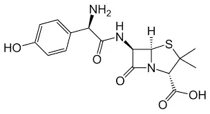 amoxicillin