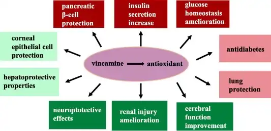 How Does Vincamine Powder Compare to Other Pre-Workout Ingredients