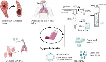 How does salbutamol powder work in the body