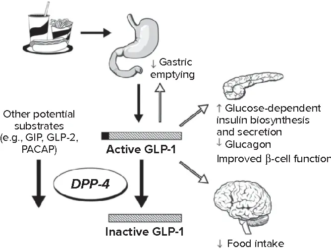 Sitagliptin Powder use