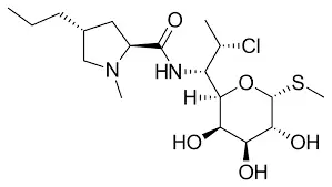 Clindamycin HCl