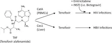 What are the key benefits of tenofovir in antiviral therapy