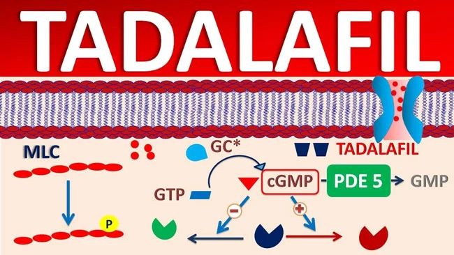 Tadalafil Powder