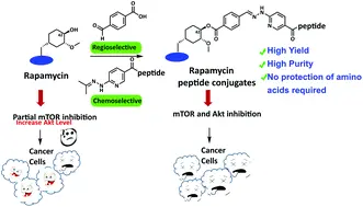 Synthesis of Rapamycin powder