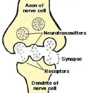 Application of Pregabalin