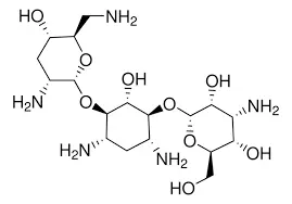 Tobramycin