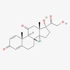 Prednisolone