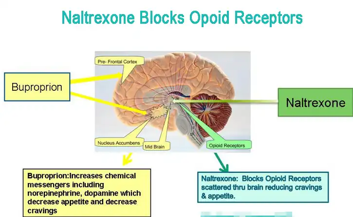 naltrexone