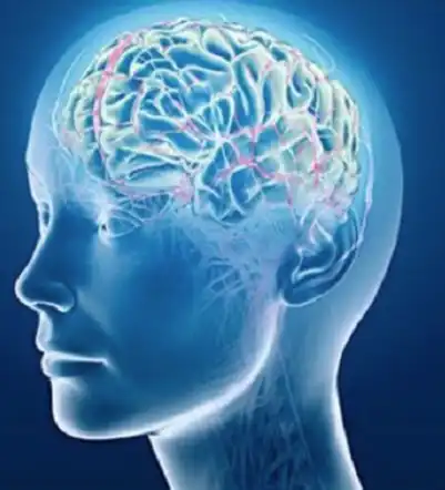 Aniracetam Aniracetam