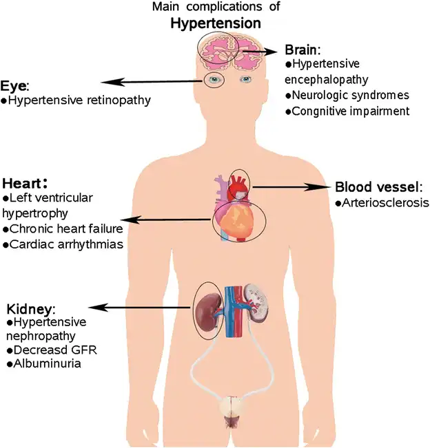 olmesartan medoxomil effects