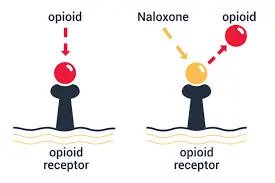 Naloxone