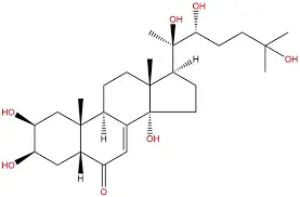 Ecdysterone use