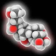 Is Ecdysterone safe for long-term use in athletes