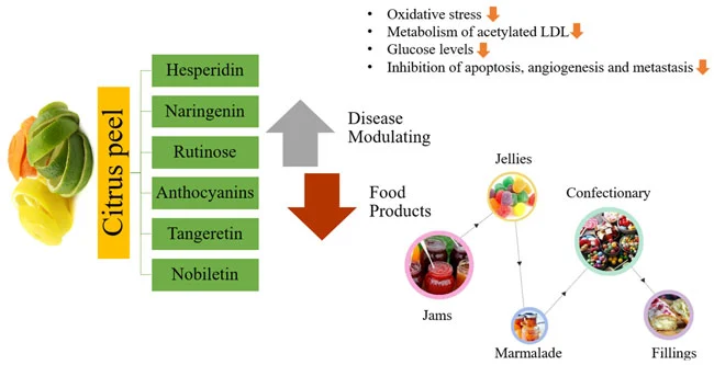 What are the main sources of Nobiletin and how is it extracted