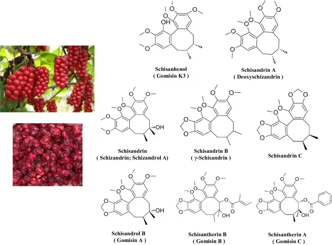 What are the main pharmacological effects of Schisandrin