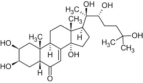 Ecdysterone powder