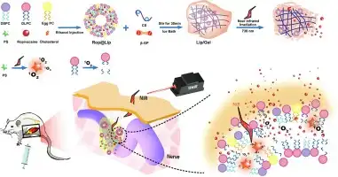 Applications of Ropivacaine