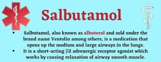 Can moisture affect the quality of stored Salbutamol powder?